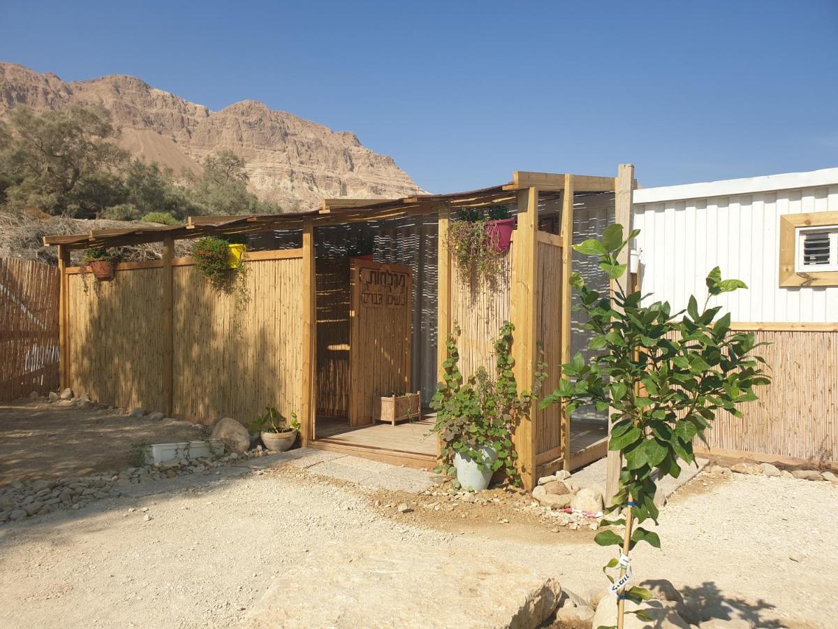 Ein Gedi Caravan By Dory Caravan Eksteriør bilde