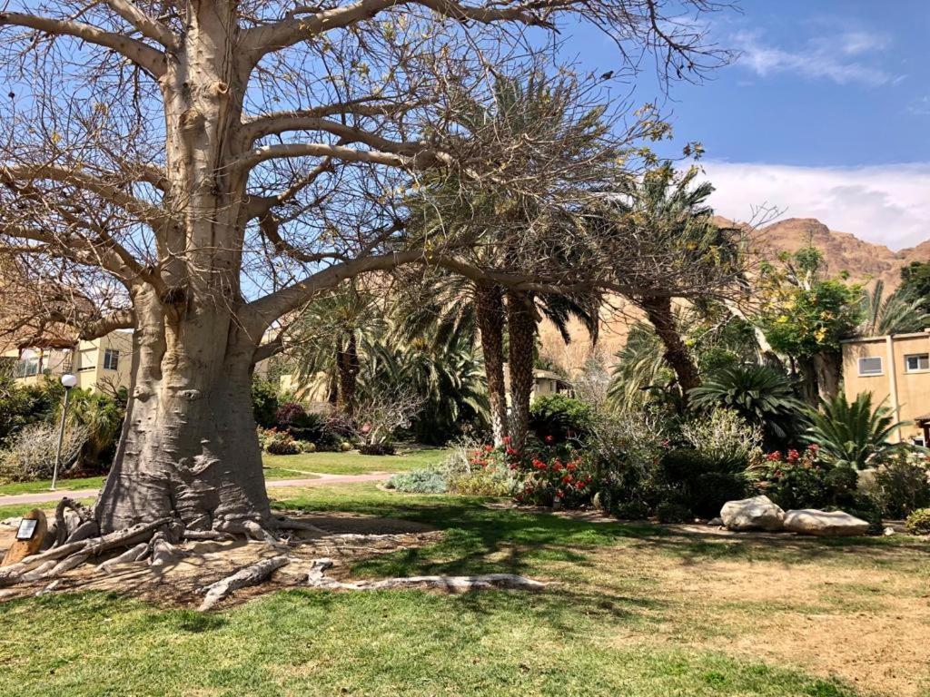 Ein Gedi Caravan By Dory Caravan Eksteriør bilde